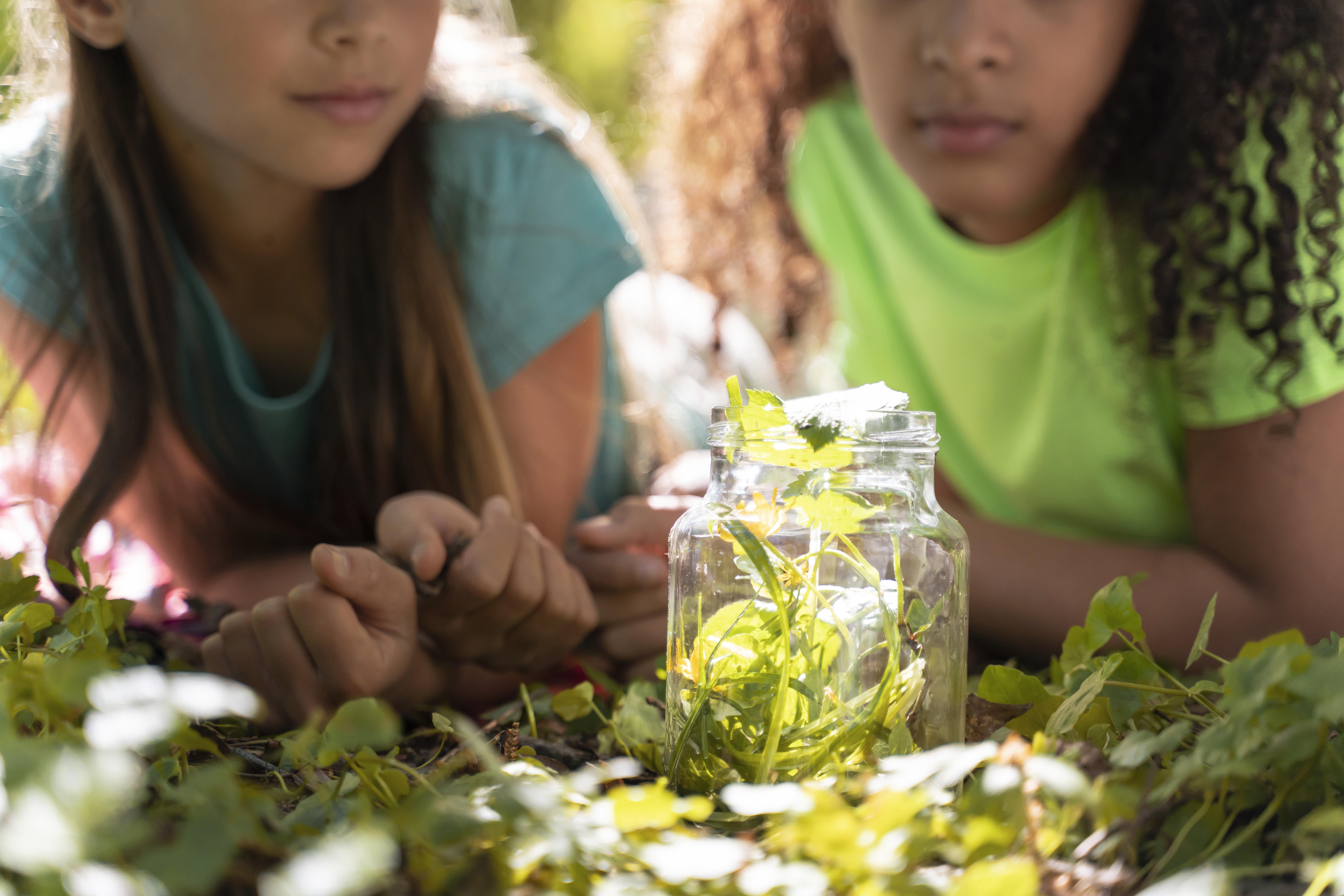 Educação para o Desenvolvimento Sustentável